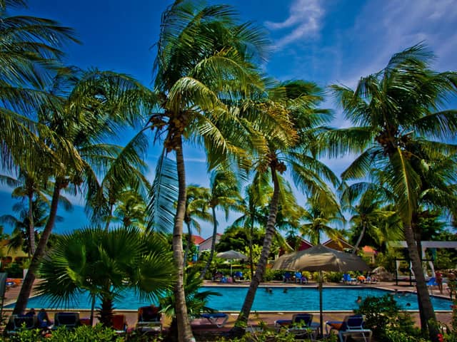 Sonesta Hotels & Resorts Livingstone Curacao — photo 4