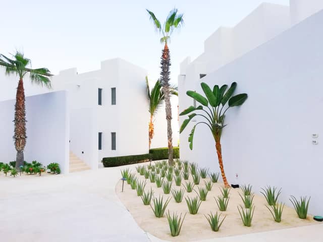Marquis Los Cabos, an All - Inclusive, Adults - Only & No Timeshare Resort — photo 2