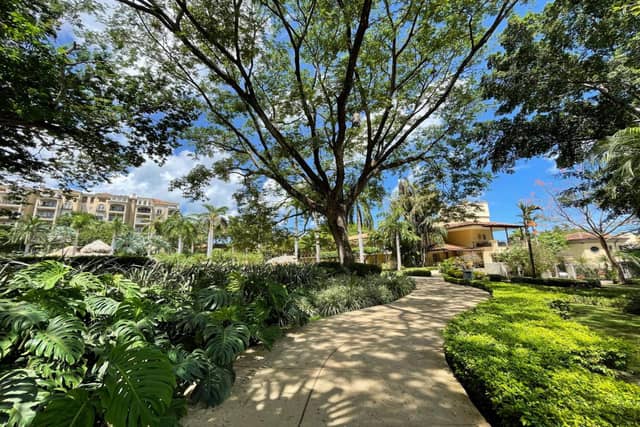 Hotel Tamarindo Diria Beach Resort — photo 2