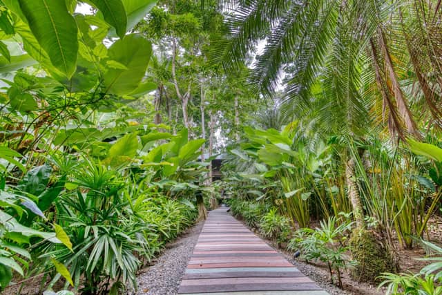awā Beachfront Hotel — photo 5