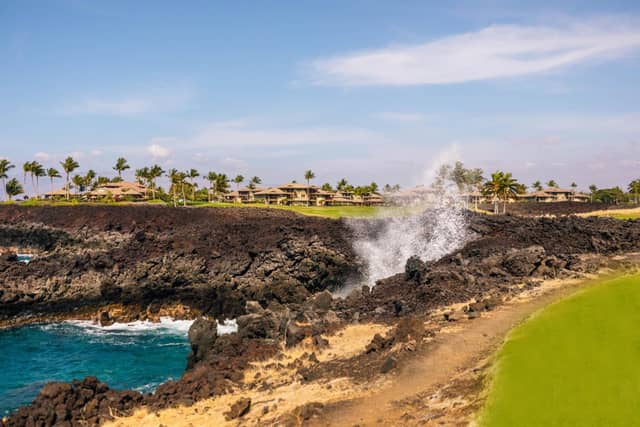 Waikoloa Beach Marriott Resort & Spa — photo 5