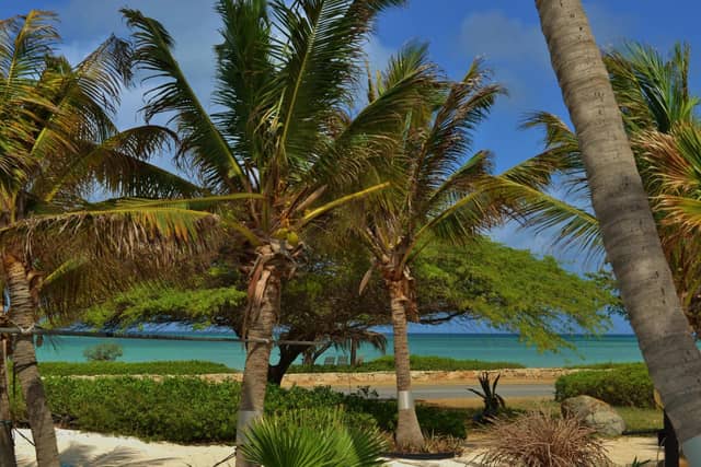 Beach House Aruba Apartments — photo 2