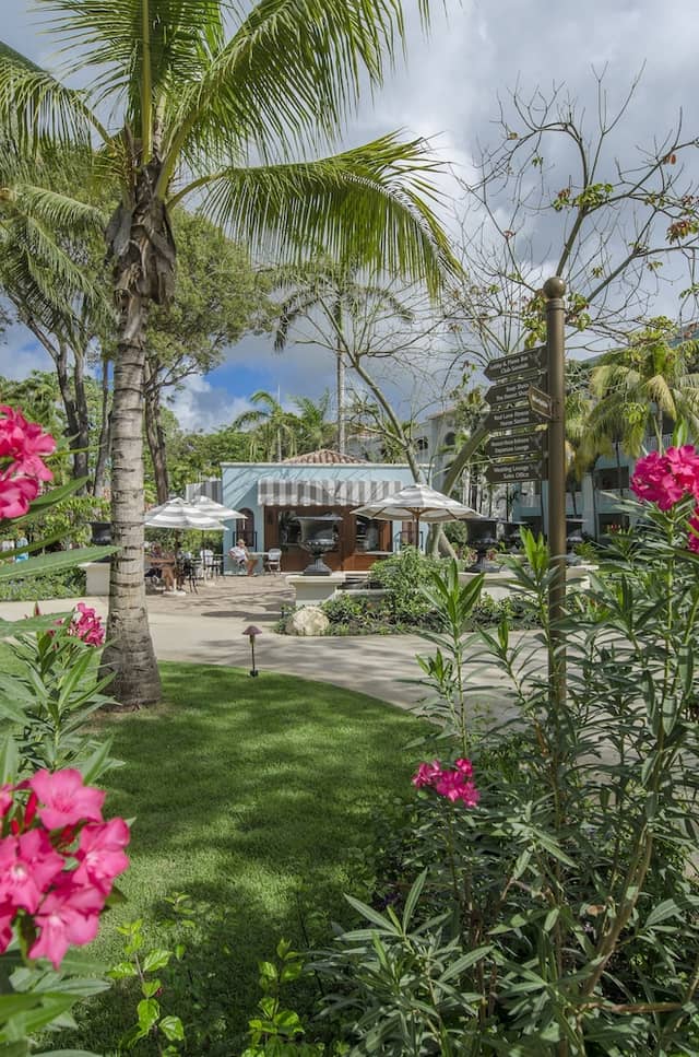 Sandals Barbados - ALL INCLUSIVE Couples Only — photo 3